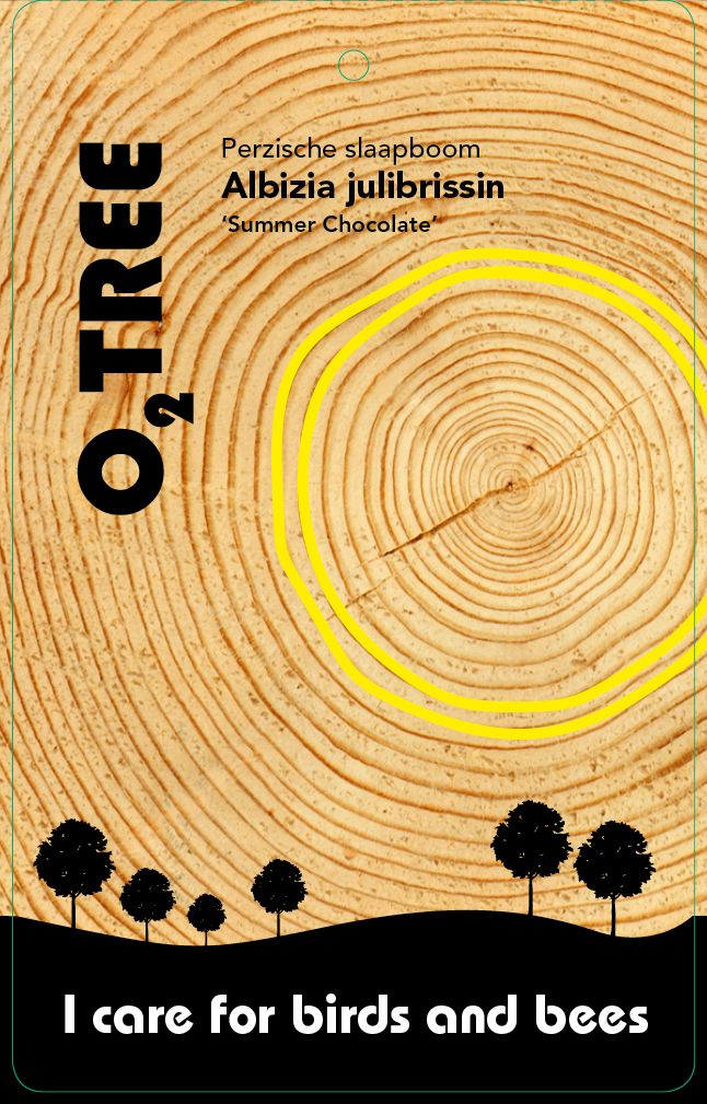 albizia-julibrissin-summer-chocolate-thema