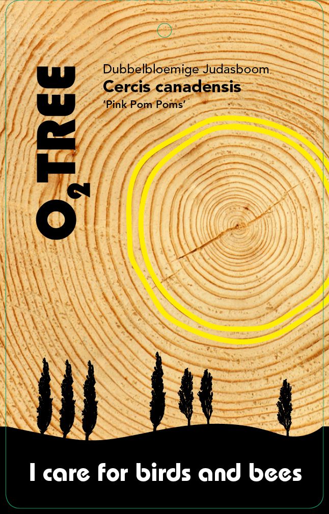 cercis-canadensis-pink-pom-poms-thema