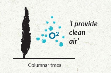 columnar-trees