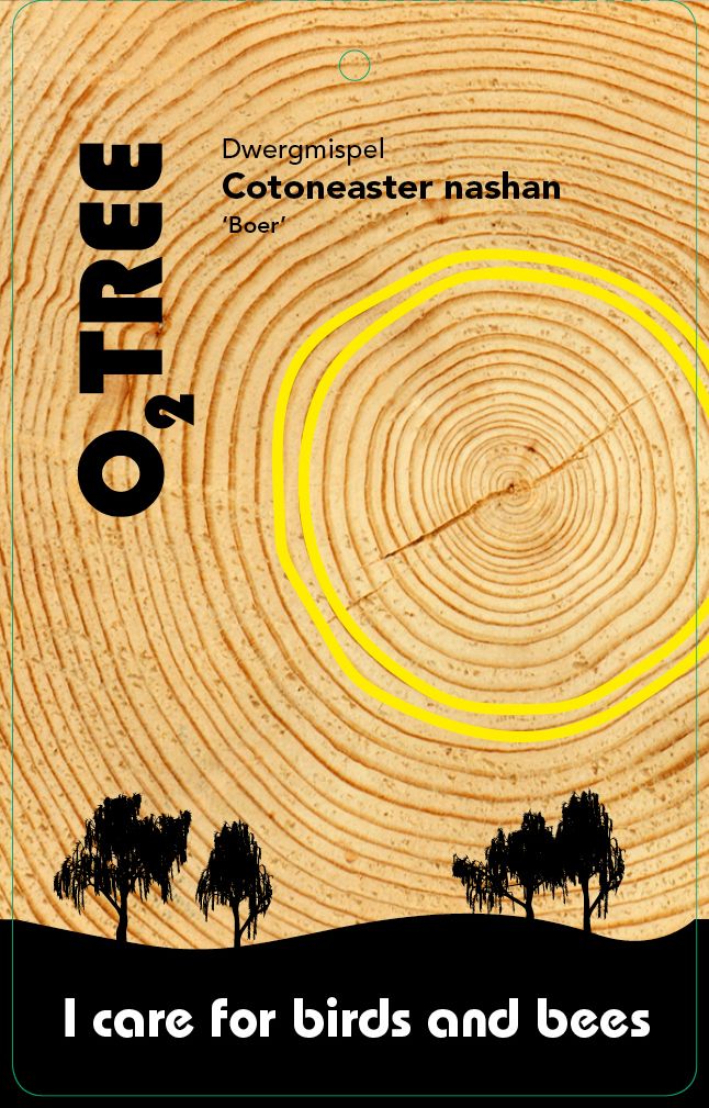 cotoneaster-nashan-boer-thema