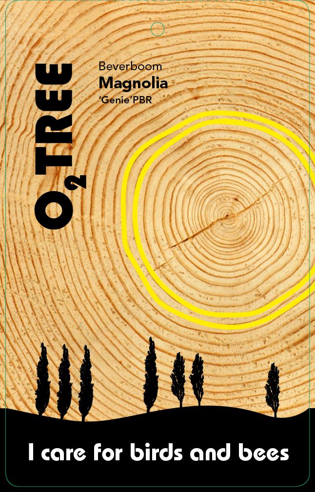 magnolia-genie-thema