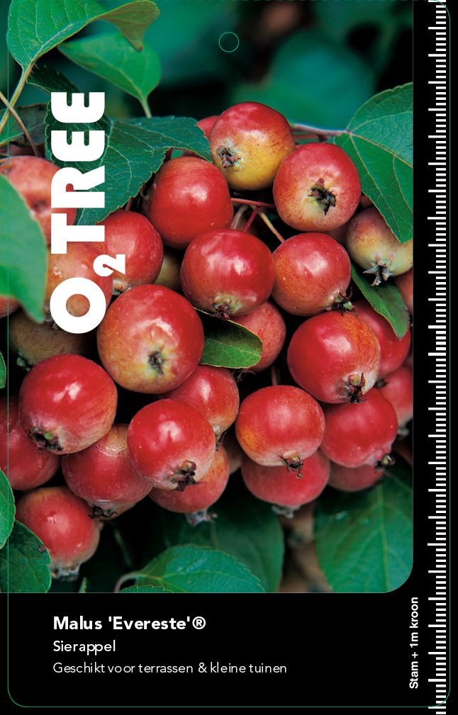 malus-evereste