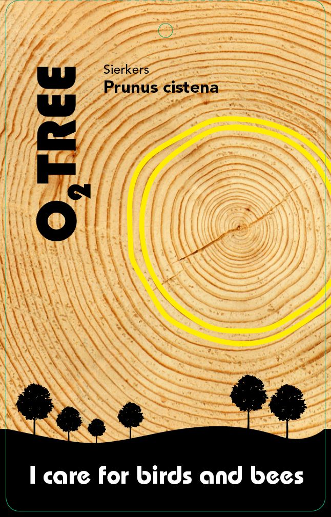 prunus-cistena-thema