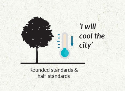 rounded-standards---half-standards